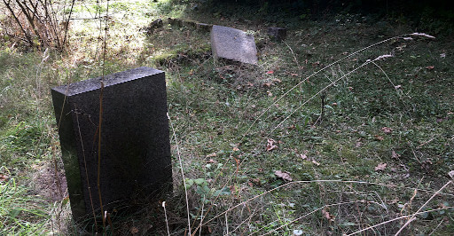 Verlassener Ort: Dölitzer Friedhof