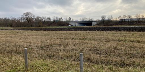 .. auf dem Feld und die nächste Straße 5km entfernt .. auf dem Feld und die nächste Straße 5km entfernt