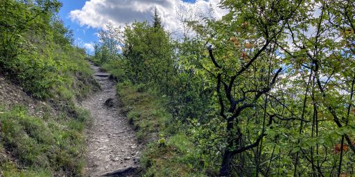 Bei den Sonnenbergen Bei den Sonnenbergen