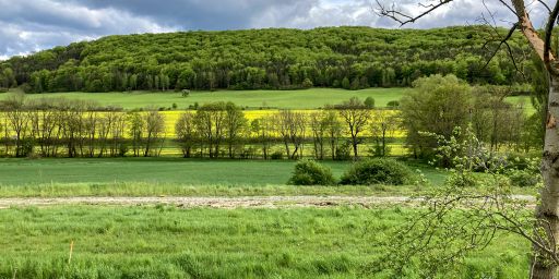 Blick über die Autobahntrasse ins Leutratal Blick über die Autobahntrasse ins Leutratal