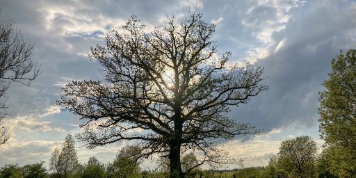 Vom Windknollen zum Landgrafen Vom Windknollen zum Landgrafen