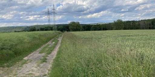 Hasenhecke Hasenhecke