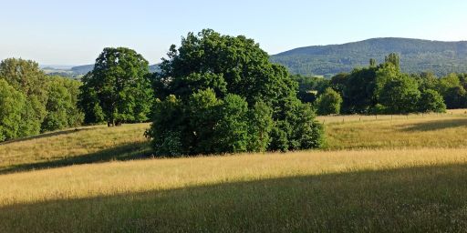 Auf dem Kasselsteig Auf dem Kasselsteig