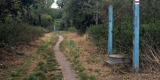 An der Zschampert, hinter Miltitz An der Zschampert, hinter Miltitz