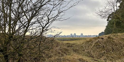 Blick auf das Hasenbergl Blick auf das Hasenbergl