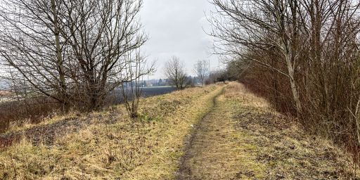 Weg auf dem alten Bahndamm Weg auf dem alten Bahndamm