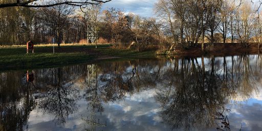 Teich im Pasinger Stadtpark Teich im Pasinger Stadtpark