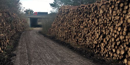 Vor der A 96 Vor der A 96
