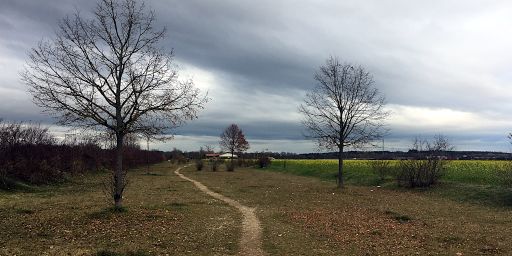 Weg am Stadtrand Weg am Stadtrand