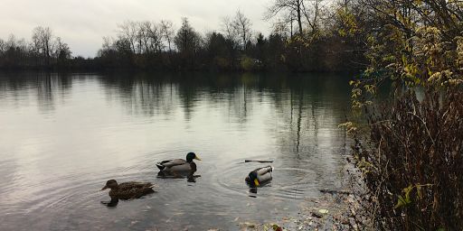 Langwieder See Langwieder See