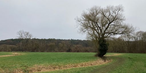 An der Rednitz An der Rednitz